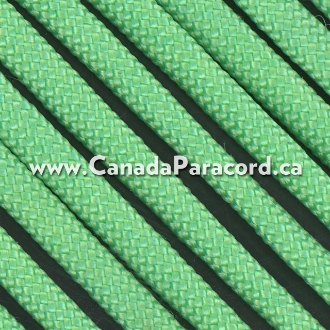https://www.canadaparacord.ca/images/thumbs/0017506_mint-100-feet-550-lb-paracord_330.jpeg